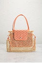 view 2 of 9 BOLSO GOYARD in Coral & Beige