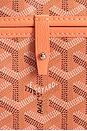 view 6 of 9 BOLSO GOYARD in Coral & Beige