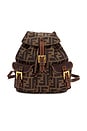 view 1 of 10 BOLSO FENDI in Brown