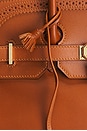 view 10 of 10 Hermes Tadelakt Ghillies Birkin 35 Handbag in Fauve