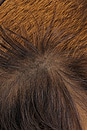 view 8 of 7 Fendi Fur Tote Bag in Brown