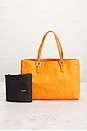 view 10 of 9 SAC FENDI in Orange