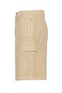 view 3 of 5 Cargo Shorts in Beige