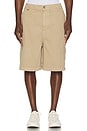 view 5 of 5 Cargo Shorts in Beige