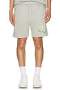 view 4 of 5 Blossom Shorts in Heather Grey