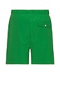 view 2 of 3 Essential Swim Shorts in Green