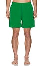 view 3 of 3 Essential Swim Shorts in Green