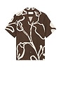 view 4 of 4 CHEMISE ROBERTO  in Cacao