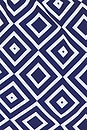 view 3 of 4 Rio Swim Short in Angra Print