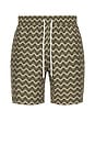 view 1 of 4 Santos Swim Short in Dark Olive & Dried Moss