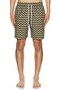 view 3 of 4 Santos Swim Short in Dark Olive & Dried Moss