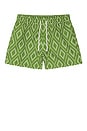 view 1 of 4 Rio Swim Short Raffia Angra Print in Parakeet Green & Ivory