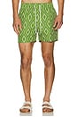 view 3 of 4 Rio Swim Short Raffia Angra Print in Parakeet Green & Ivory