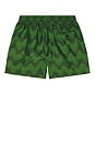 view 2 of 4 Rio Swim Short Raffia Copa Jacquard Print in Dark Parakeet Green