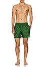 view 4 of 4 Rio Swim Short Raffia Copa Jacquard Print in Dark Parakeet Green
