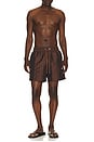 view 3 of 4 Rio Swim Short in Brown