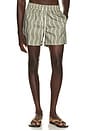 view 1 of 5 Rio Linen Blend Cabana Wave Swim Short in Palm Green