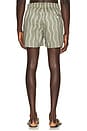 view 2 of 5 Rio Linen Blend Cabana Wave Swim Short in Palm Green