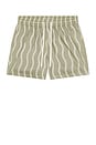 view 4 of 5 Rio Linen Blend Cabana Wave Swim Short in Palm Green