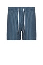 view 1 of 3 Sport Micro Ipanema Camada Print Swim Shorts in Perennial Blue
