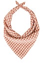 view 2 of 3 Georgia Gingham Scarf in Mauve