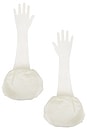 view 1 of 3 Serena Gloves in Cream
