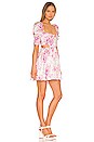 view 2 of 3 Lucia Mini Dress in Pink