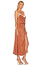 view 2 of 3 Viv Maxi Dress in Brown