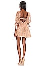 view 3 of 3 Louisa Mini Dress in Brown