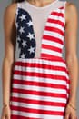 view 5 of 6 Lulu Dress in American Flag