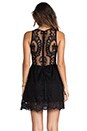 view 3 of 6 Lulu Lace Dress in Black