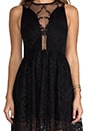 view 5 of 6 Lulu Lace Dress in Black