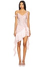 view 1 of 5 Raspberry Rose Mini Dress in Pink