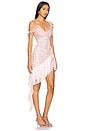 view 2 of 5 Raspberry Rose Mini Dress in Pink