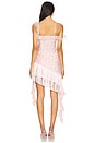 view 4 of 5 Raspberry Rose Mini Dress in Pink