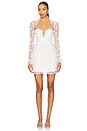 view 1 of 4 Bluebell Mini Dress in White