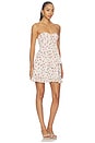 view 2 of 4 Teagan Mini Dress in Cream Red