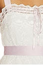 view 4 of 4 Noah Embroidered Mini Dress in Vintage Cream