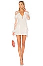 view 1 of 3 Rosebud Embroidery Mini Dress in Ivory