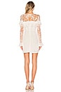 view 3 of 3 Rosebud Embroidery Mini Dress in Ivory