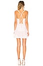 view 3 of 3 Dixie Ruffled Mini Dress in Pink Gingham