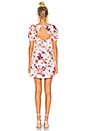 view 3 of 3 Magnolia Mini Dress in Pink Blossom