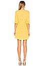 view 3 of 3 Spring Eyelet Swing Dress in Yellow