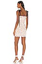 view 3 of 3 Dolly Mini Dress in White Lace