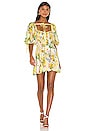 view 1 of 3 Leigh Floral Mini Dress in Buttercreme