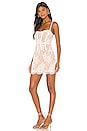 view 2 of 3 Cheyenne Lace Mini Dress in Ivory Lace