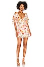 view 1 of 3 Julep Mini Dress in Coral