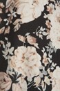 view 6 of 6 Kirsten Dress in Black Floral