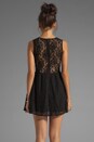 view 4 of 6 Floral Lace Lulu Dress in Black