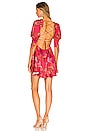 view 3 of 3 Alia Mini Dress in Red